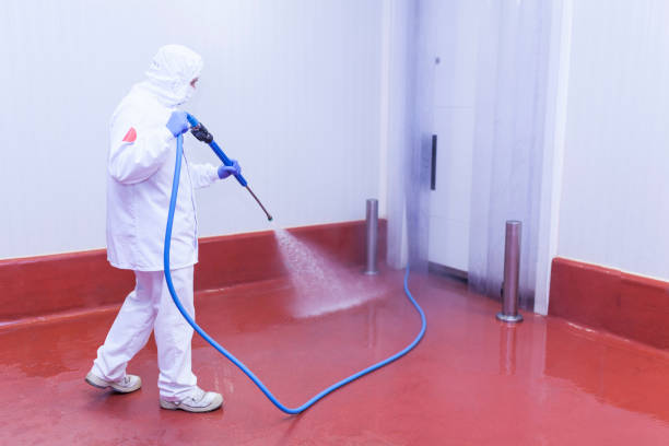 Pre-Holiday Cleaning in Leslie, MI